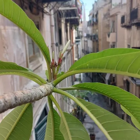Apartamento A Casa Di Elena *